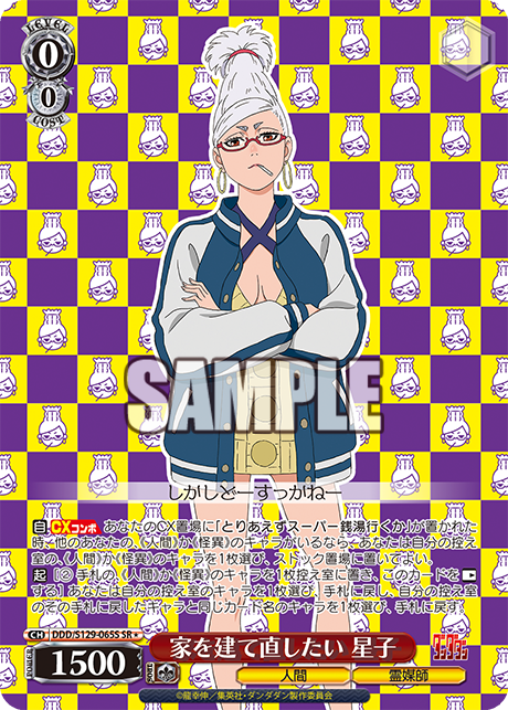 SR★ 家を建て直したい 星子 DDD/S129-065S