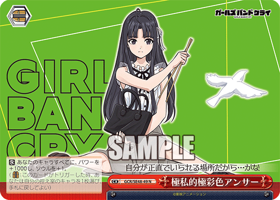 GCR/SE48-49 N 極私的極彩色アンサー