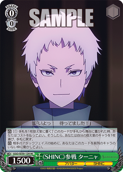 GGO/SE50-12H HC 《SHINC》参戦 ターニャ