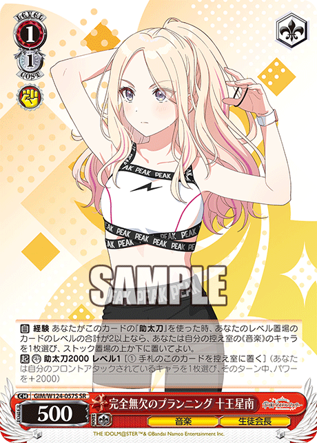 GIM/W124-057S SR 完全無欠のプランニング 十王星南