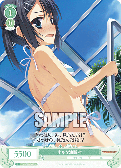 OS01/R01-041S SR 小さな油断 梓