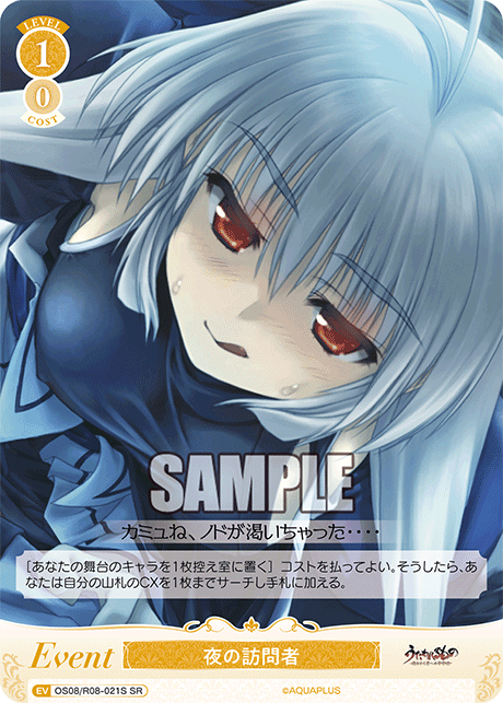 OS08/R08-021S SR 夜の訪問者