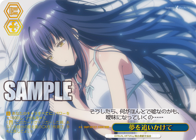 RRR 夢を追いかけて SMP/W137-100R