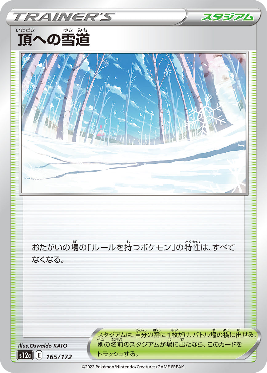 S12a 165 / 172 頂への雪道