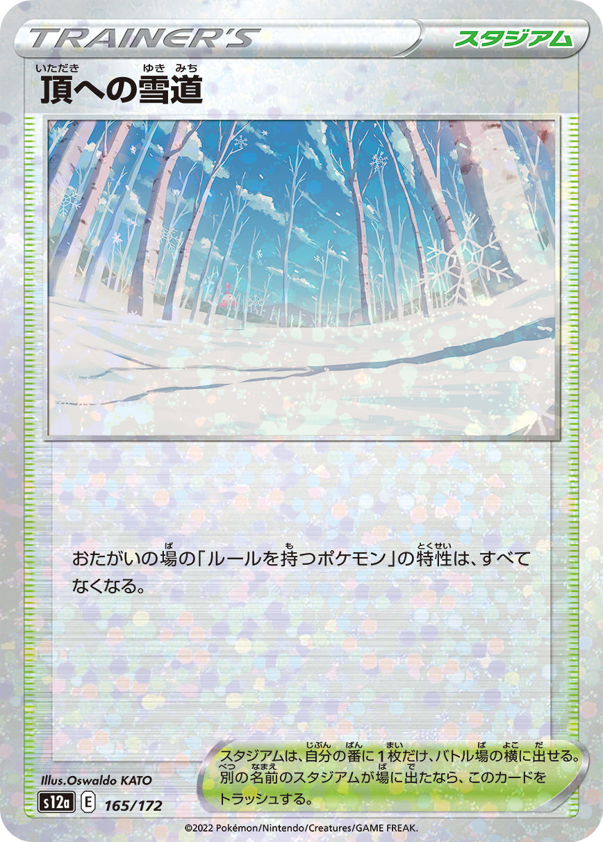 S12a 165 / 172 頂への雪道 (閃)