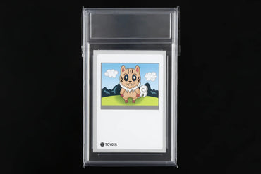 [Collector Sleeve / 收藏卡套] Grading Card Sleeve 90％のUV Cut 50枚 卡套