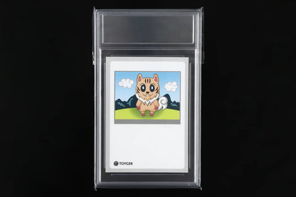 [Collector Sleeve / 收藏卡套] Grading Card Sleeve 90％のUV Cut 50枚 卡套