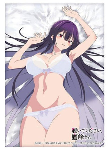 [預訂] 【Bushiroad】卡套卡墊卡盒 履いてください、鷹峰さん