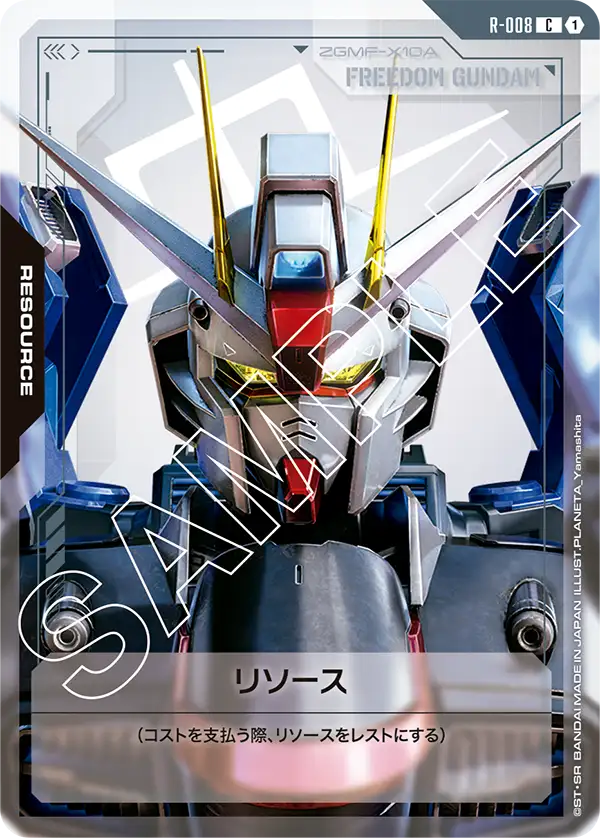 R-008 C リソース