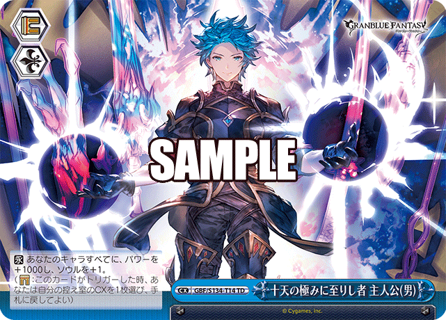 TD 十天の極みに至りし者 主人公(男) GBF/S134-T14