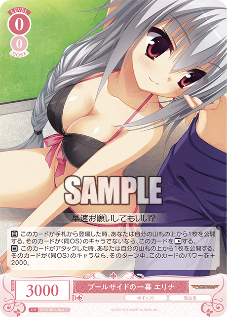 OS01/R01-064 C プールサイドの一幕 エリナ