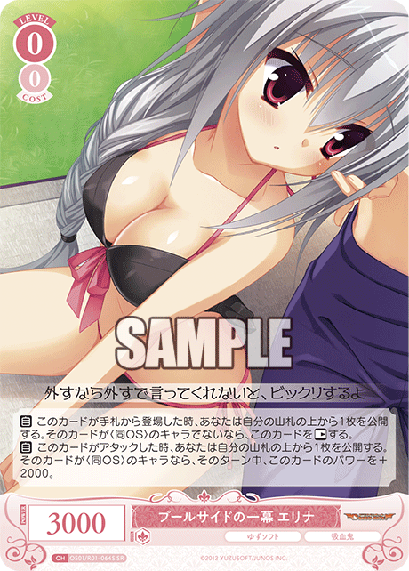 OS01/R01-064S SR プールサイドの一幕 エリナ