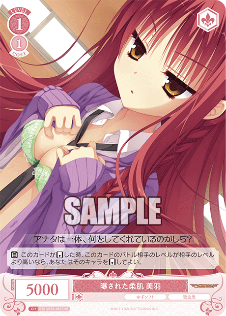 OS01/R01-067S SR 曝された柔肌 美羽