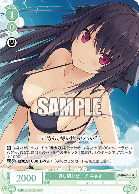 OS05/R05-032S C 貸し切りビーチ みさき