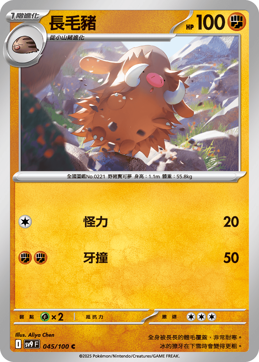 sv9F 045/100 長毛豬