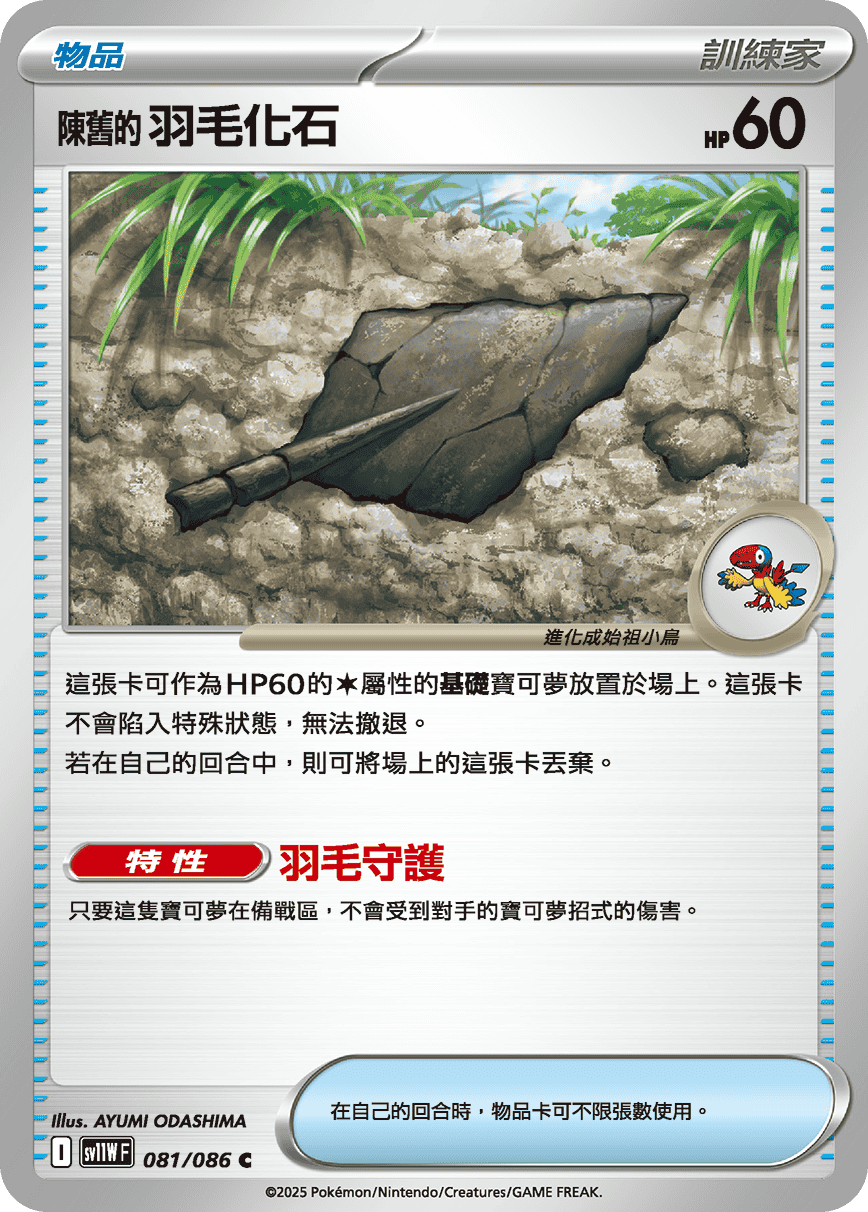 sv11WF 081/086 陳舊的羽毛化石
